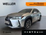 Lexus UX 250h Style Edition *LED*CarPlay*CAM*Spurhalte - Lexus UX Gebrauchtwagen