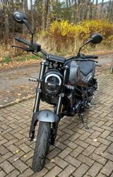 Benelli Leoncino 125 - BENELLI LEONCINO 125