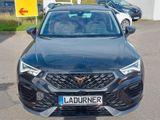Cupra Ateca 1.5TSI DSG 150PS*Navi/AHK/LED/SHZ* - Cupra Ateca aus 2024