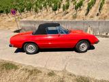 Alfa Romeo Spider - Alfa Romeo Gebrauchtwagen von 1981