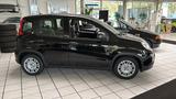 Fiat Pandina - Fiat Panda Gebrauchtwagen in Bielefeld