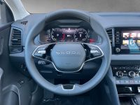Skoda Karoq - Vorschau Bild 13