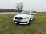 Skoda Octavia 4x4 Laurin & Klement Top Zu... - Skoda Octavia: Laurin Klement