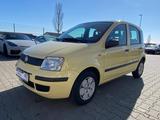 Fiat Panda 1.1 8V|Active|el.FH|Servo|HU/AU NEU - Fiat Panda: Gelb