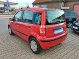 Fiat Panda 1.2 8V Dynamic Automatik TÜV-AU NEU - gebrauchte Fiat Panda aus dem Jahr 2006