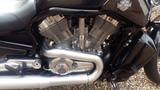 Harley-Davidson V rod Muscle 5HD Vrod - HARLEY-DAVIDSON V ROD MUSCLE