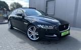Jaguar XE R-Sport*Navi+*R-Cam*Scheckheft*Panorama*Euro6 - Jaguar: X Sport