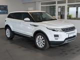 Land Rover Range Rover Evoque 4x4 Pamorama*KAM*Leder* - Land Rover Gebrauchtwagen in Bremen