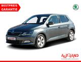 Skoda Fabia 1.0 Style Klimaaut. Sitzheizung PDC USB - graue Skoda Fabia