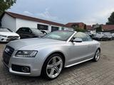 Audi A5 Cabriolet -PDC NAVI Tempo.R.kamera- S-Line - Audi A5 aus 2010: Line