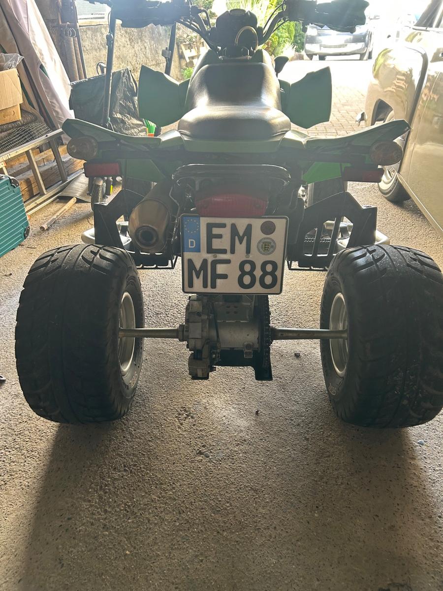 Arctic Cat 300 2014 — photo 6