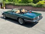 Jaguar XJS V12 5,3 Cabriolet, racing-green, HU neu - Jaguar XJS: 12 V