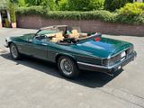 Jaguar XJS V12 5,3 Cabriolet, racing-green, HU neu - Jaguar XJS von privat
