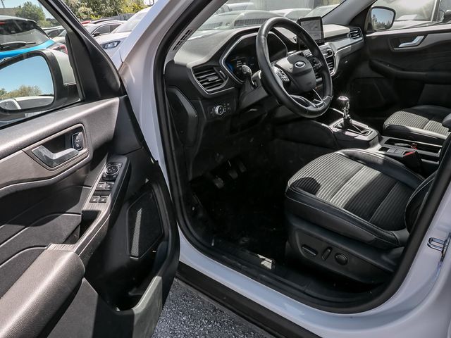 Ford Kuga 1.5 Titanium X Stauassistent Kamera Navi