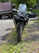 Triumph Tiger 800  xrx low version - TRIUMPH TIGER 800 XRX