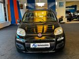 Fiat Panda My Panda - gebrauchte Fiat Panda aus dem Jahr 2013