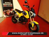Honda MSX 125 Gepflegter Zustand mit Sonderzubehör! - HONDA MSX