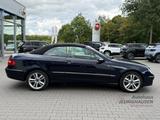 Mercedes-Benz CLK 200 Cabrio Kompressor+Gurtbringer+Leder+PDC+ - Mercedes-Benz CLK 200: Cabrio