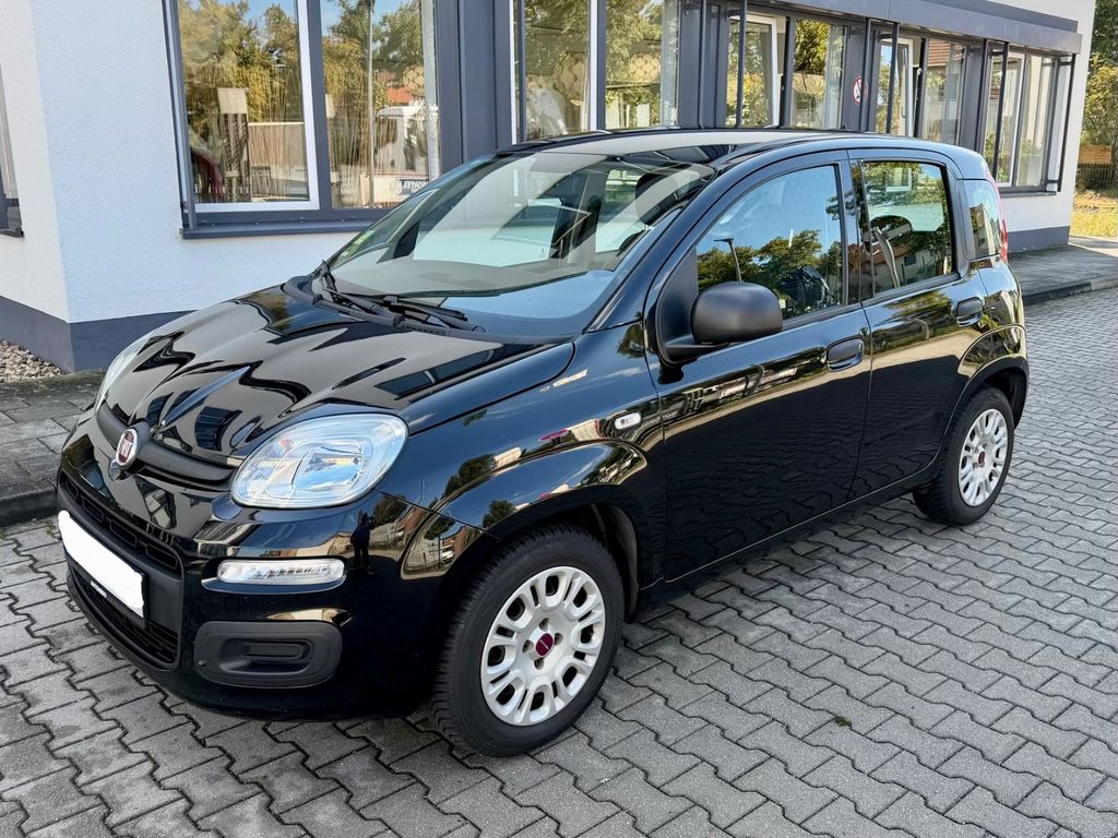 Image of Fiat Panda