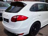 Porsche Cayenne S/Navi/Bi-Xenon/Vollleder/AHK/ - Porsche Cayenne Gebrauchtwagen