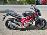 Suzuki Gladius SFV650A - Angebote entsprechen deinen Suchkriterien