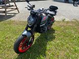 Ducati Monster Neufahrzeug Modell 2024 - DUCATI MONSTER