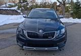 Skoda Octavia 2.0 TSI DSG 4x4 Scout Combi Scout - Skoda Octavia Scout mit Benzin-Antrieb