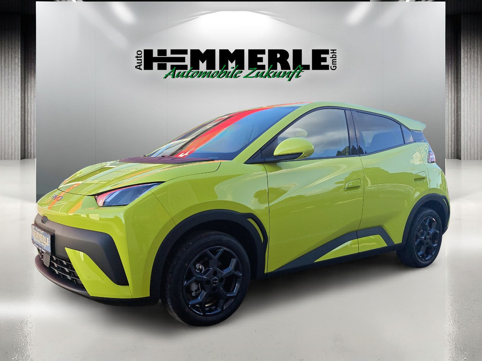 BYD SURF Comfort VOLLAUSSTATTUNG !!!