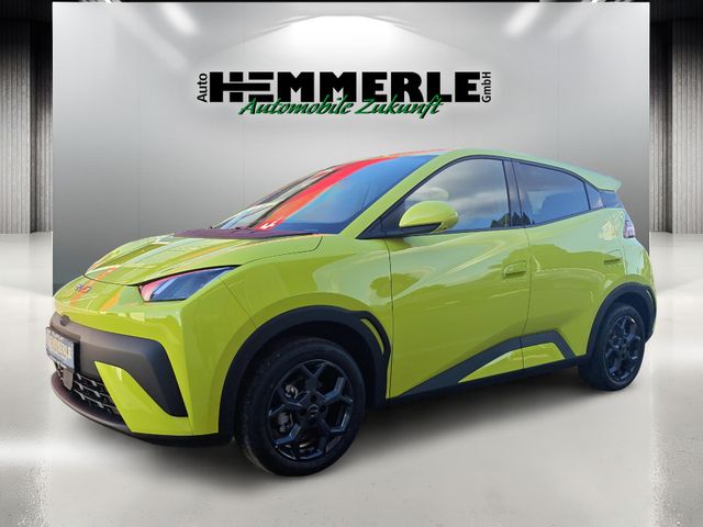 BYD DOLPHIN SURF