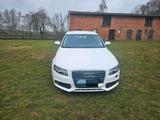 Audi A4 B8 - Audi A4 aus 2010 mit Diesel-Antrieb: Limousine