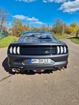 Ford Mustang 5.0 Ti-VCT V8 GT Auto GT - Ford Mustang in Bonn