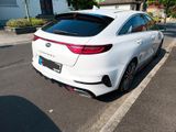 Kia pro_cee'd / ProCeed 1.6 T-GDI DCT GT GT - Kia pro cee'd / ProCeed: Privatanbieter