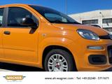 Fiat Panda Hybrid Klimaanlage Isofix Tagfahrlicht - Fiat Panda: Orange