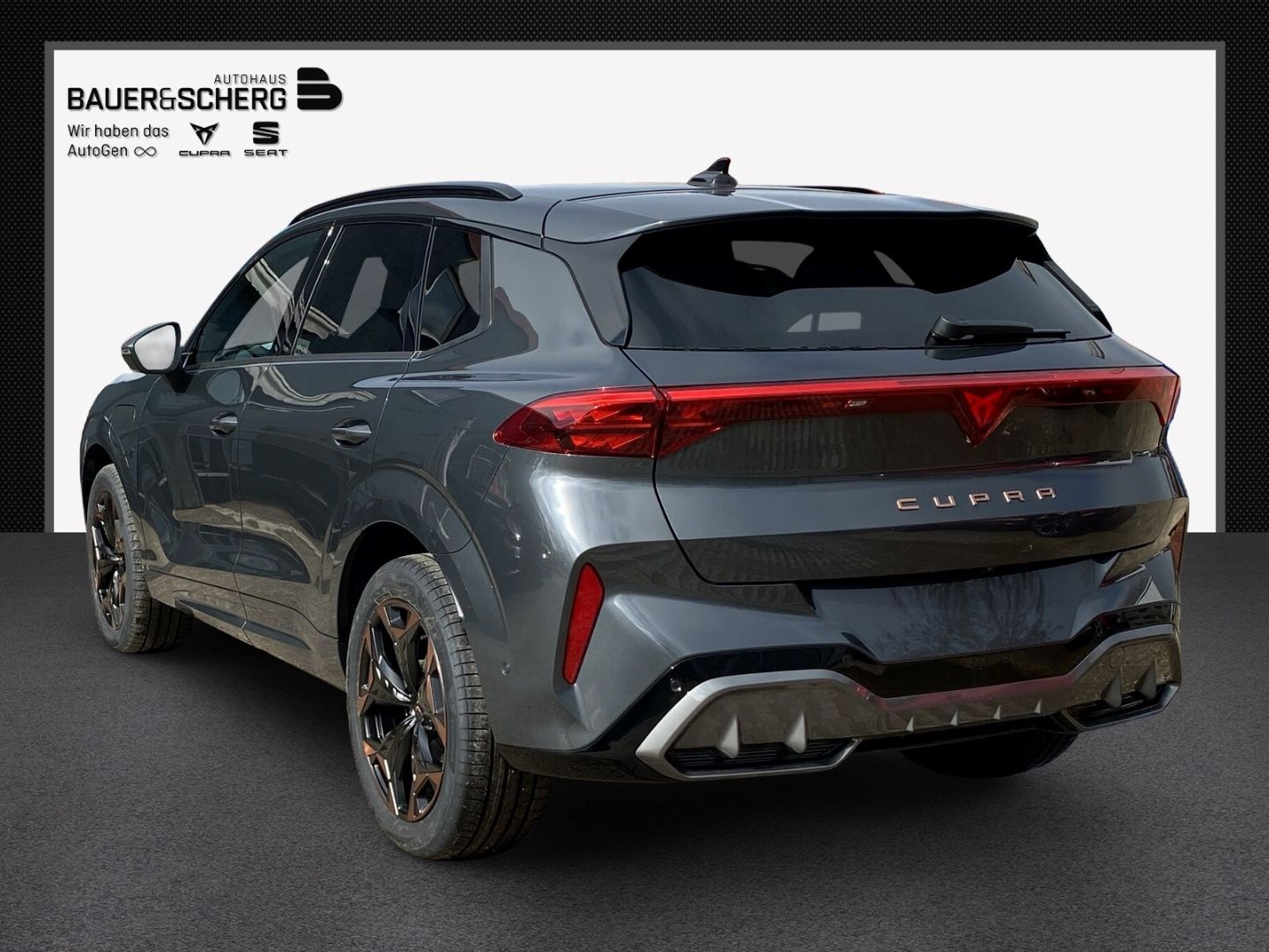 Cupra Terramar - Bild 3