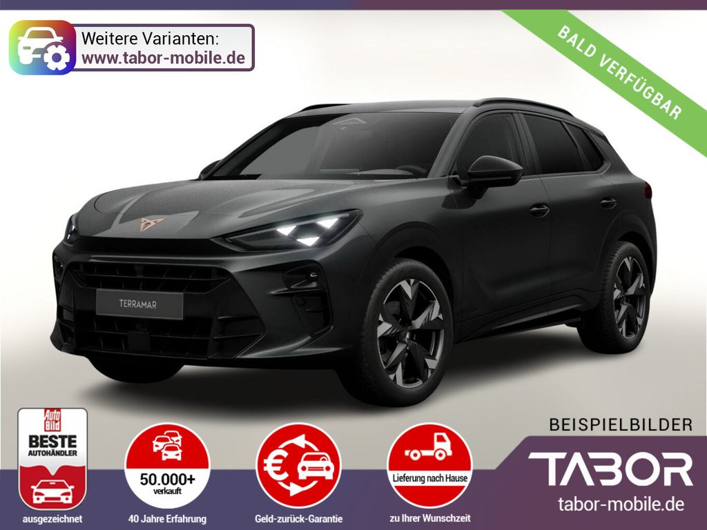 Image of Cupra Terramar