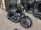 Harley-Davidson XL883 Iron Sportster - Angebote entsprechen deinen Suchkriterien