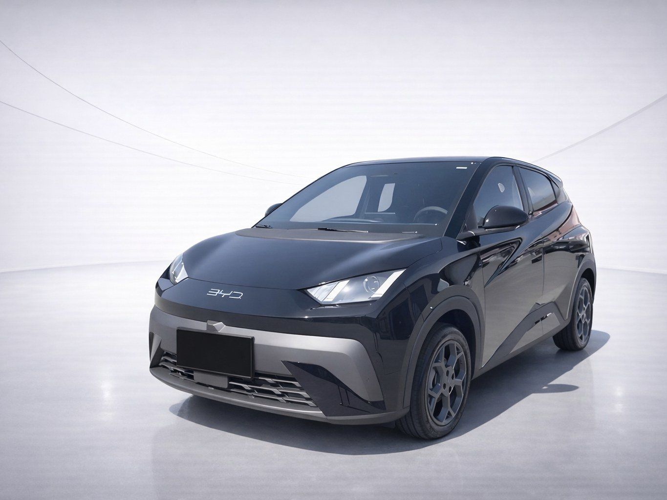 BYD DOLPHIN SURF