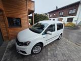 Volkswagen Caddy 2,0TDI 75kW Trendline BlueMotion Trend... - Volkswagen Caddy: Bluemotion