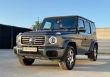 Mercedes-Benz 450 G 450 d Professional Line - graue Mercedes-Benz 450