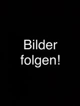 Opel Zafira B Navi - gebrauchte Opel Zafira aus dem Jahr 2007