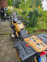 BMW R1200GS   top gepflegt, scheckheftgepflegt,  - BMW 2010 R 1200 GS