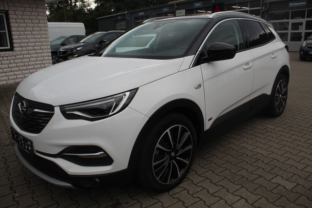 Fotografie des Opel Grandland (X)