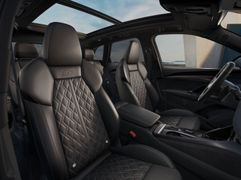 AUDI SQ5 TFSI | Pano | Carbon | Tech pro | HuD | B&O AUDI SQ5 TFSI | Pano | Carbon | Tech pro | HuD | B&O