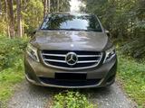 Mercedes-Benz V 250 d Aut. AVANTGARDE 4MATIC kompakt - Mercedes-Benz V 250: Kompakt