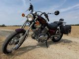 Yamaha XV 535 Virago | 1. Hand | Nur 11.150 km  - YAMAHA 1993 VIRAGO 535