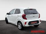 Kia Picanto 1.0 Vision Autom. Klimaautom. Navi Kamer - gebrauchte Kia Picanto aus dem Jahr 2024