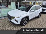 Hyundai Tucson Prime Mild-Hybrid 4WD 1.6 CRDi Mild Hybri - Hyundai TUCSON Jahreswagen
