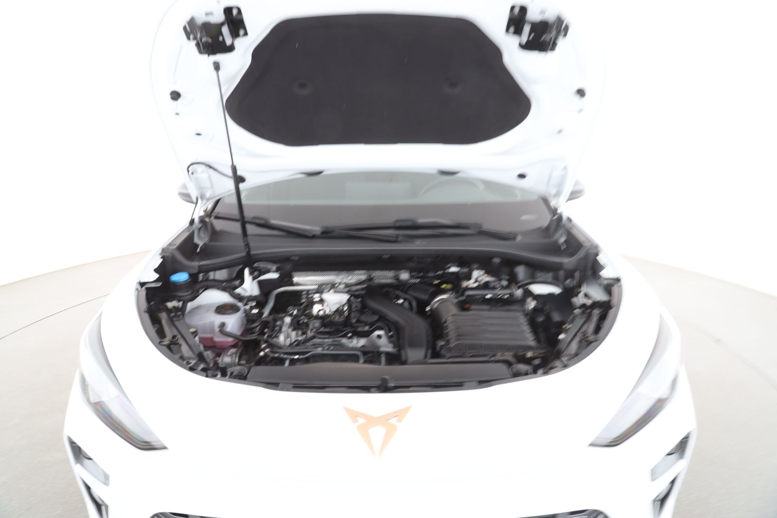 Cupra Terramar - Bild 9