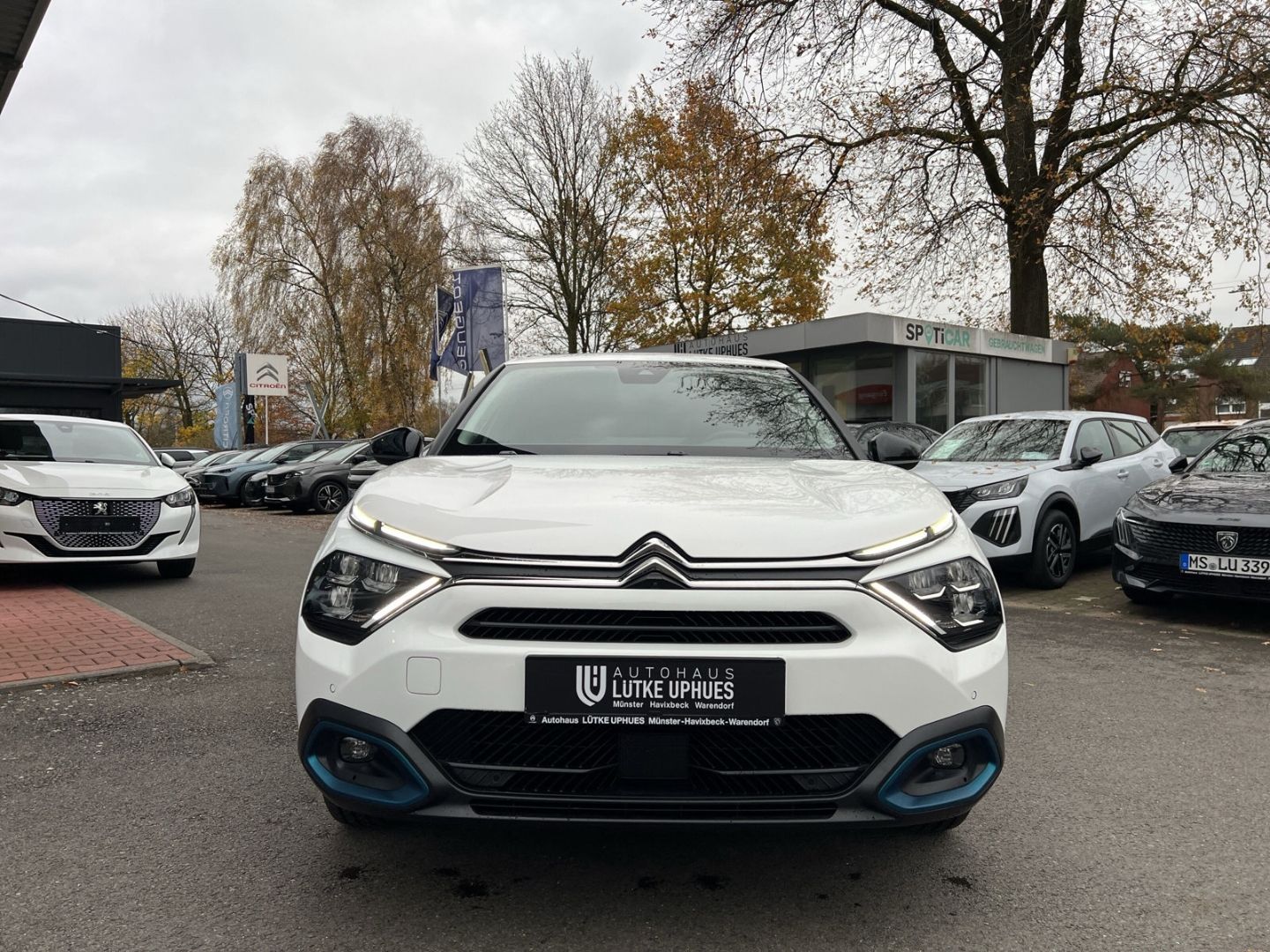 Fahrzeugabbildung Citroën C4 Elektro 136 Shine Navi 360 Kamera LED CarPlay