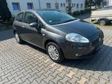 Fiat Punto TÜV bis 04/2027 - Fiat Punto in Wiesbaden
